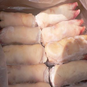 Frozen Pork Meat Wholesale