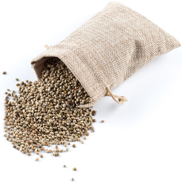 Hemp Seeds Bulk Suppliers