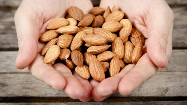Almond Nuts Worldwide Bulk Suppliers